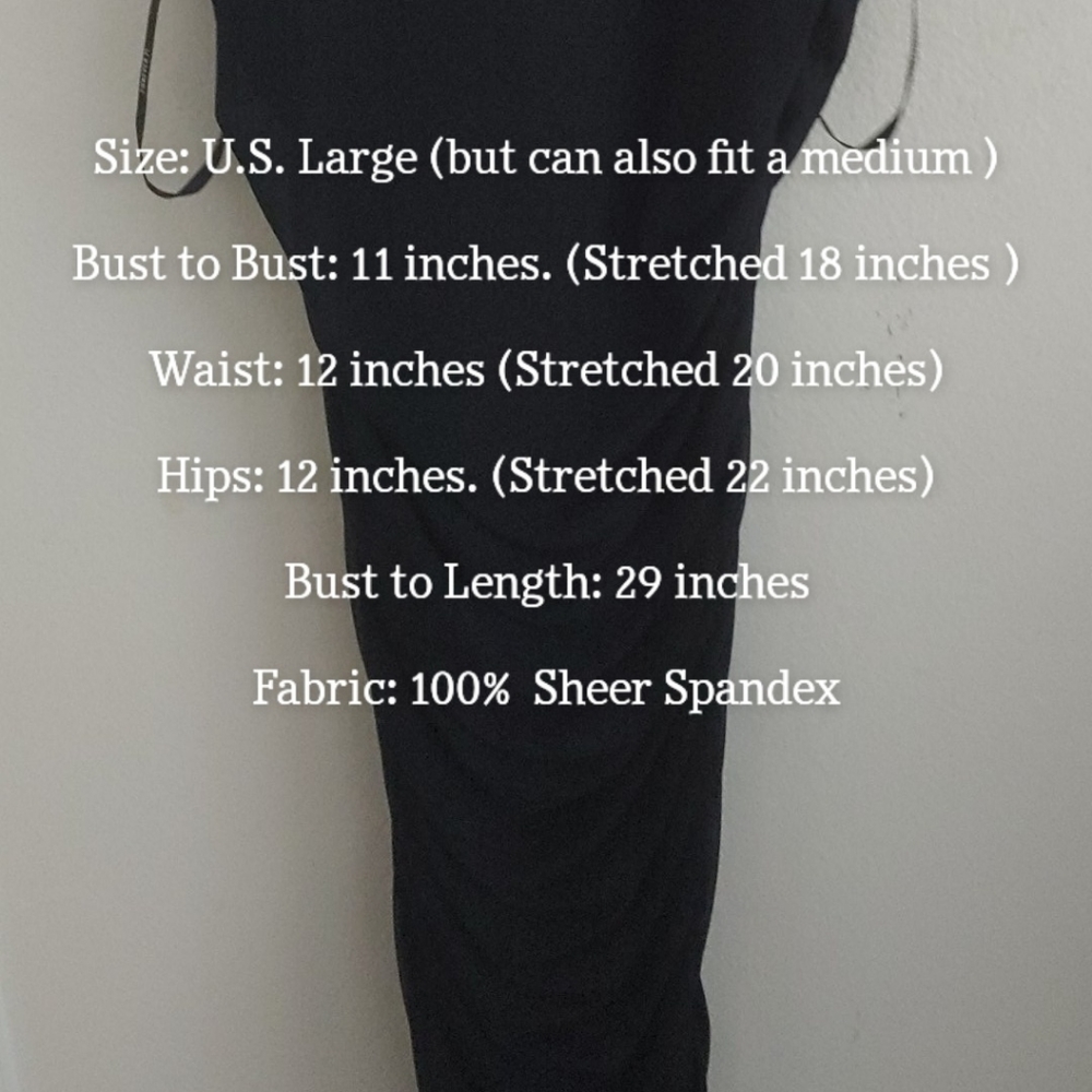 Black COMPLETELY sheer dress